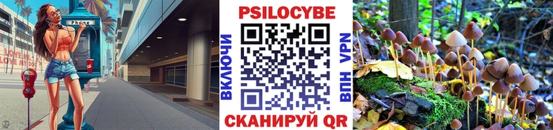 Псилоцибиновые грибы Psilocybine cubensis Сусуман